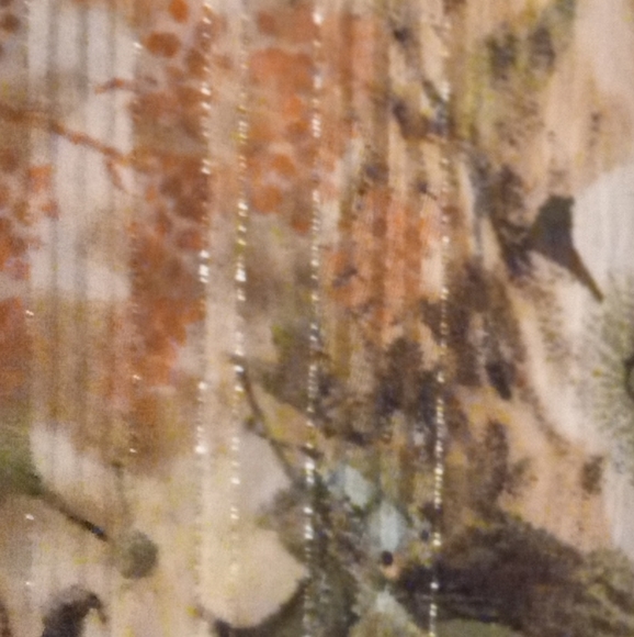 Sara Michelle Top size 2X - Picture 4 of 4